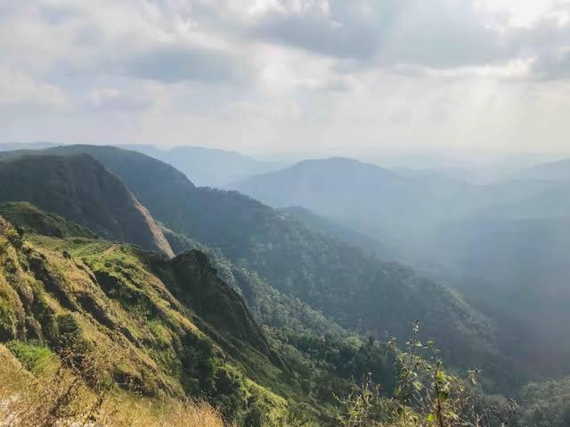 The Heritage Home Kasauli I Pine View Serviced Villa I Best Seller I Vacations I Family Events I Sky Bonfire I Kasauli By Exotic Stays Exterior foto